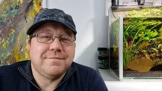 Alle meine Aquarien ungeschminkt - Mai 2021