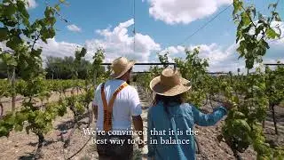 Pago deTharsys: Unique by Nature - English Subtitles