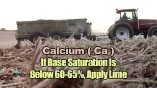 Base Saturation #803 (Air Date 8/25/13)