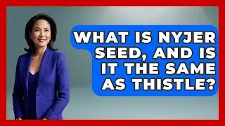 What Is Nyjer Seed, And Is It The Same As Thistle? - Bird Watching Diaries