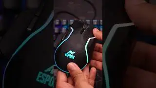 This is the Best Gaming Mouse Under Budget! Ant Esports GM320