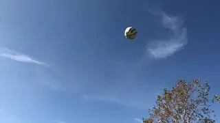 Ollyball in the Park!