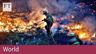 Portugal wildfires rage | World