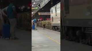 CR Rajdhani VS Local Gangster 🐕