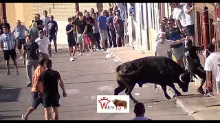 PRIMER ENCIERRO DE BOROX 2025