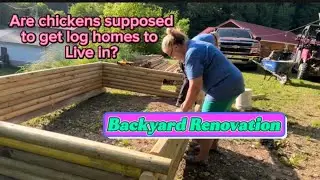 Are chickens supposed to live in log homes?/ Baby chick hatched/ hoeing vegies/Garden Oasis #diy 🐣🐥