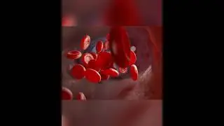 (Full video in Comment ) Essential Vitamin B12: Recognizing and Addressing Deficiency Symptoms