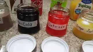 Sam's Science Experiment 2017 Day #1: Introduction, Purpose, & Question: