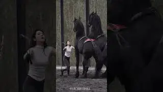 🐎All Horse Version🐎#trolledit #viral#shortsfeed#viralvideo#short#trollface#transformation#horse