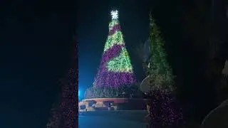 Zoo Miami 2021 Christmas Tree Show