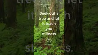 Embrace Your Inner Stillness - Eckhart Tolle