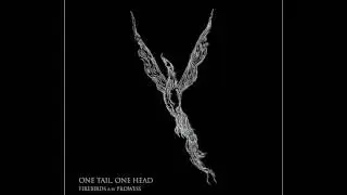 One Tail, One Head - Firebirds