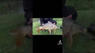 P&ecirc;che &agrave; la carpe lac sauvage 😁👌🎣