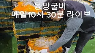 동방굴비 010-4170-5440 잡어 특집