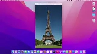 macOS 12 MontereyのVisual Look Up