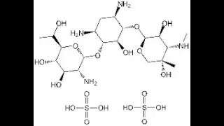 Geneticin G418; Chemical name, Molecular Formula, Molar mass, Chemical Structure
