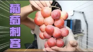 葡萄中的“刺客”，199一串的“妮娜皇后“，好吃吗？【咽气诺】