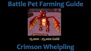 Crimson Whelpling Battle Pet Farming Guide 15-25k