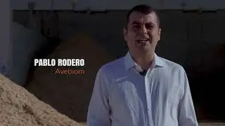 ¿Qué es el sistema ENplus® de certificación de la calidad del pellet para uso doméstico?