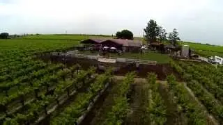 Moravia Wines