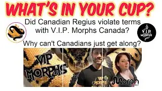 Did Canadian Regius violate terms with VIP Morphs Canada? Domestic violence? WIYC ep. 174 #374