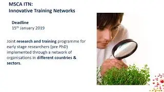 Research and Training Projects with European Organisations