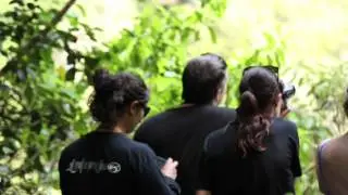 Haka Tours 7 day South Island Tour