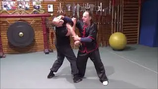 SPECIAL Wing Chun lesson Grandmaster Walter Toch Belgium