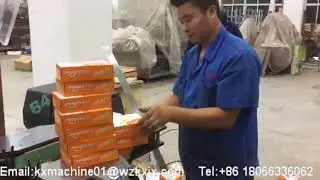 Automatic Cartoner Machine for Food, cake, biscuit, bread