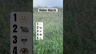 𝗛𝗶𝗱𝗱𝗲𝗻 𝗢𝗯𝗷𝗲𝗰𝘁𝘀 ⛔️ Scary edition hidden object #meditation #relaxing #challenge #nature