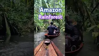 Ep2. Explore the AMAZON Rainforest  #wildlife #animals #leopard #tiger #travel