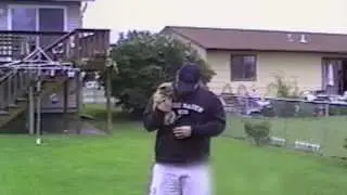Wind-Up Chihuahua