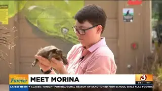 Morina loves animals, sees future as veterinarian