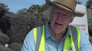 Beaumaris Bay Fossils, Ancient Relics and Dinosaurs!  What can 6 million years teach us?!