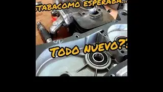 Armando Motor GARELLI 50CC / Parte 1
