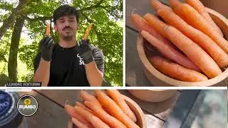 YO COCINO EN CASA || PAELLA REGIONAL