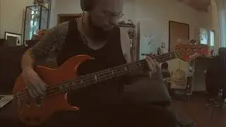 Animals The House Of The Rising Sun bass cover