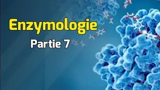 Régulation de l’activité enzymatique | Cours Enzymologie partie 7