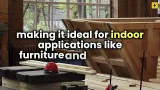 MR (Moisture resistant) vs BWP Plywood - Choose Wisely!