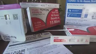 COVID-19 tests |  Staying healthy during the holidays