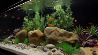 Satellite Plus Freshwater Flexible LED Aquarium Light Strip with Wireless Control