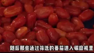 #tomato processing machine #tomato sauce paste Jams ketchup processing