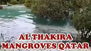 Al Thakira Beach Qatar |Thakira Mangroves|places to visit in qatar|Beaches in Qatar