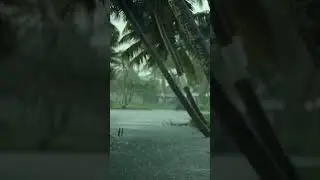 Heavy Monsoon Rain #Kerala #Rainyday #relaxingvideo #rainsoundsforsleeping #asmr #heavyrain