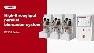 High-throughput parallel bioreactor system