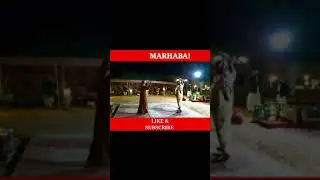 TRADITIONAL ARABIC FOLK DANCE | Premium Desert Safari Experience | DUBAI UAE #shorts #youtubeshorts