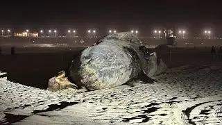 [April 2025] HUGE Whale Washes Ashore In Huntington Beach CA!