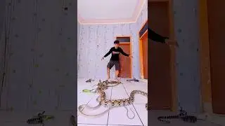 #montage