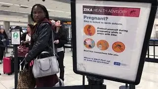 CDC confirms first local transmission of Zika in Florida