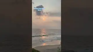 Coconut cove beach resort Varkala #varkala #beach #resort #kerala #private #trip #travel #travelvlog